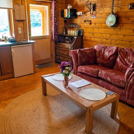Blossom Cabin - Little Log Cabin In Wales Newtown  Extérieur photo