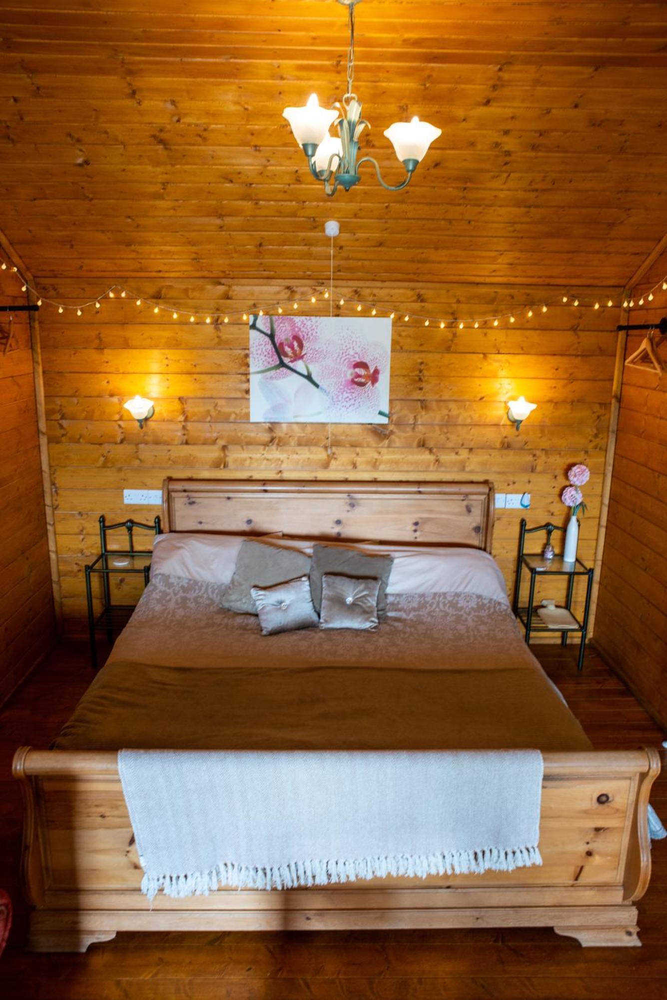 Blossom Cabin - Little Log Cabin In Wales Newtown  Extérieur photo