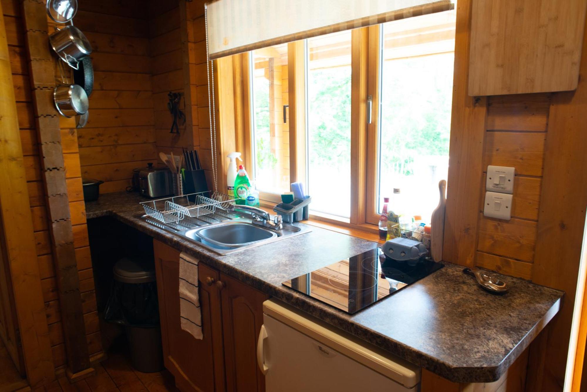 Blossom Cabin - Little Log Cabin In Wales Newtown  Extérieur photo