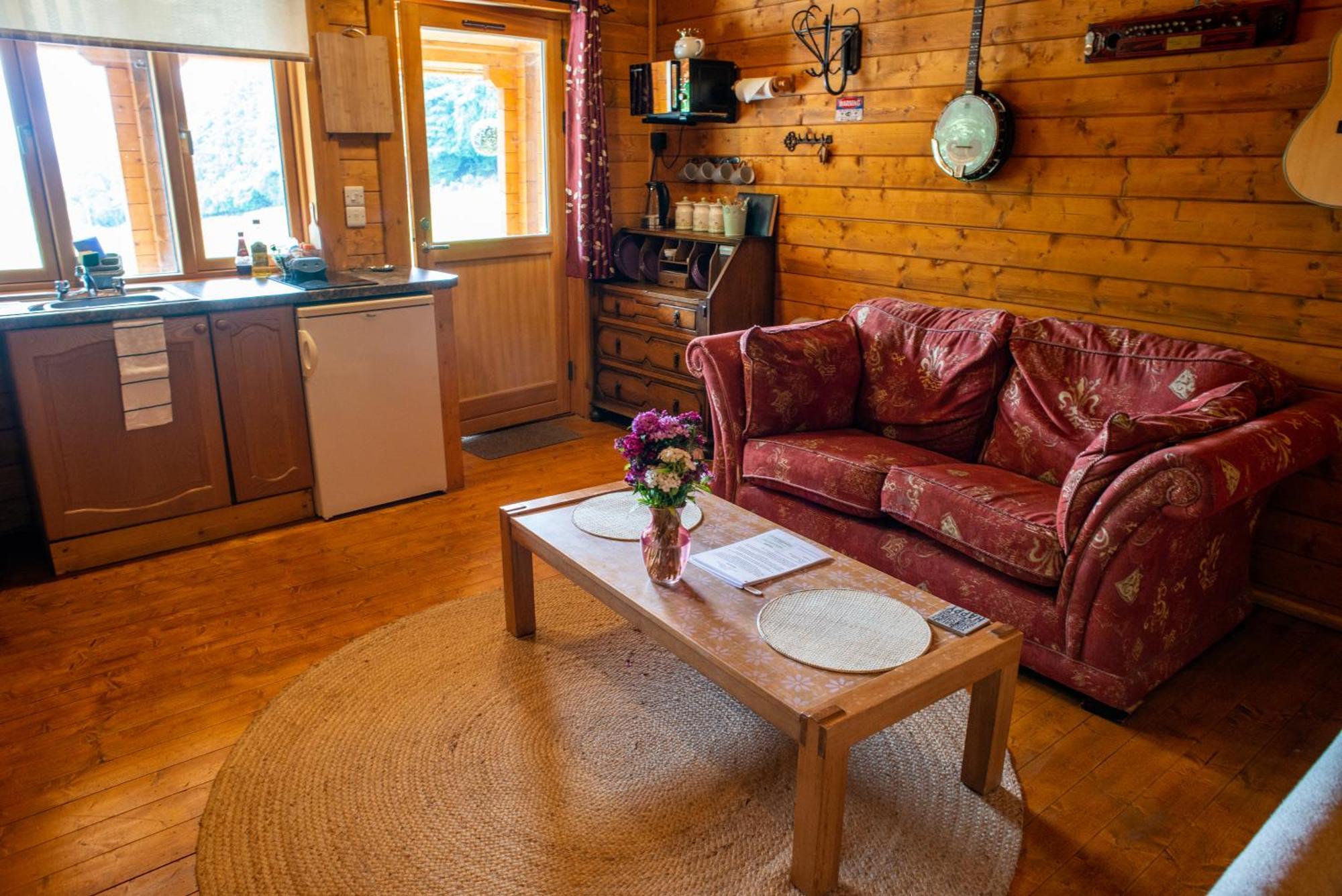 Blossom Cabin - Little Log Cabin In Wales Newtown  Extérieur photo