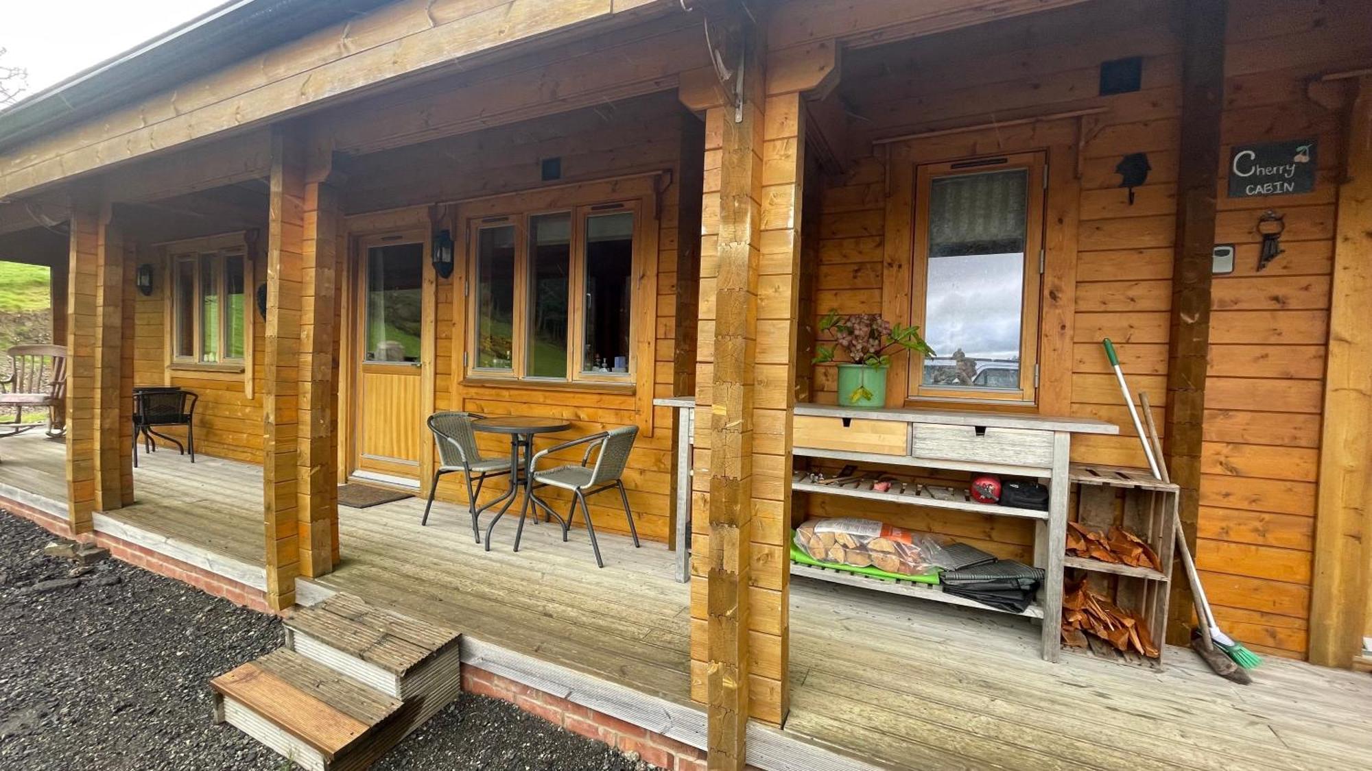 Blossom Cabin - Little Log Cabin In Wales Newtown  Extérieur photo