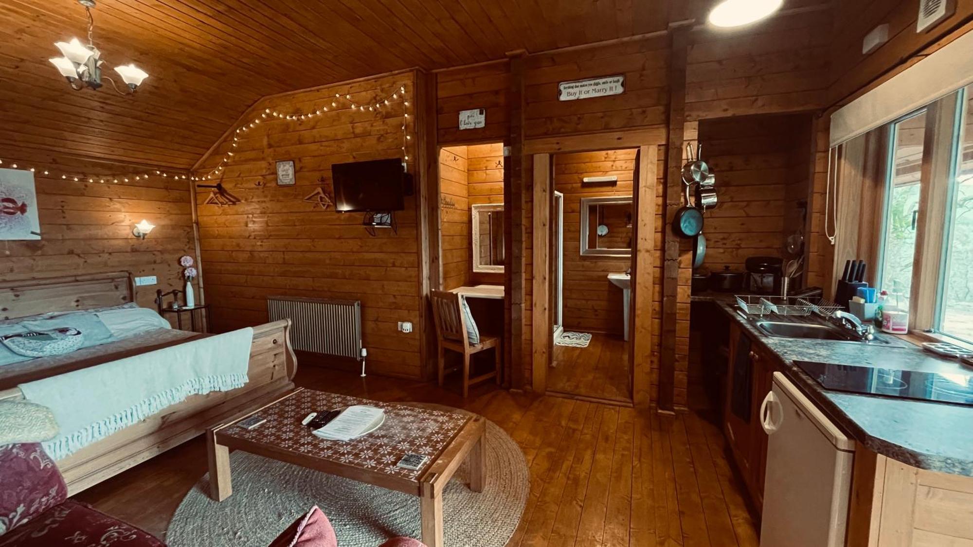 Blossom Cabin - Little Log Cabin In Wales Newtown  Extérieur photo